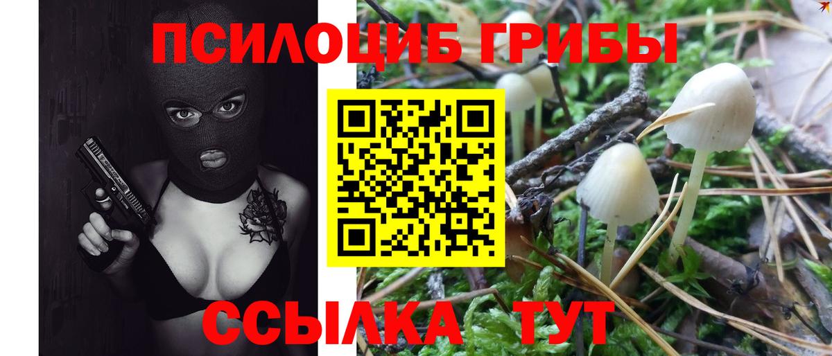Канаш  Галлюциногенные грибы мицелий  Вход с VPN 